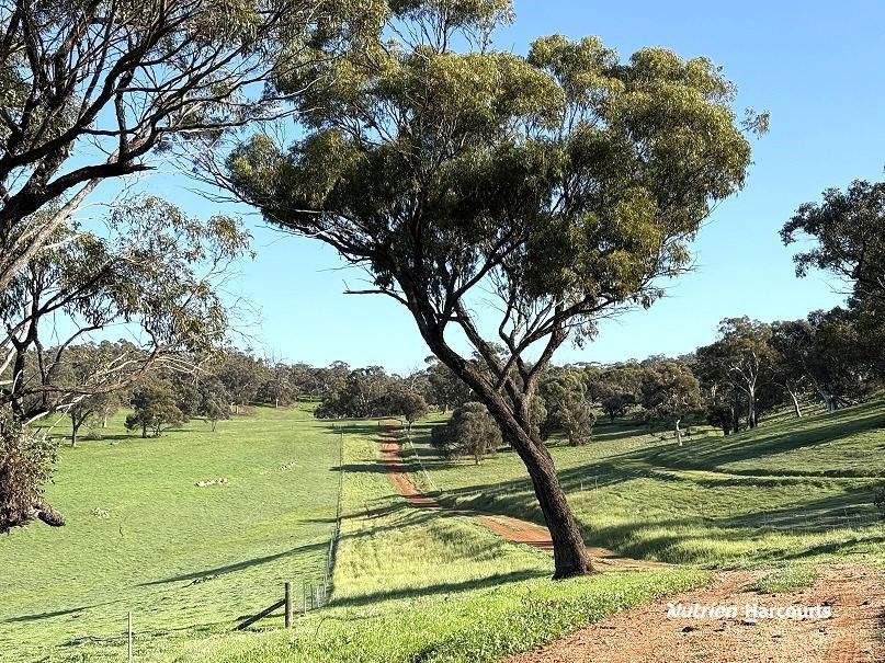 967 Northam-Toodyay Road Katrine WA 6401