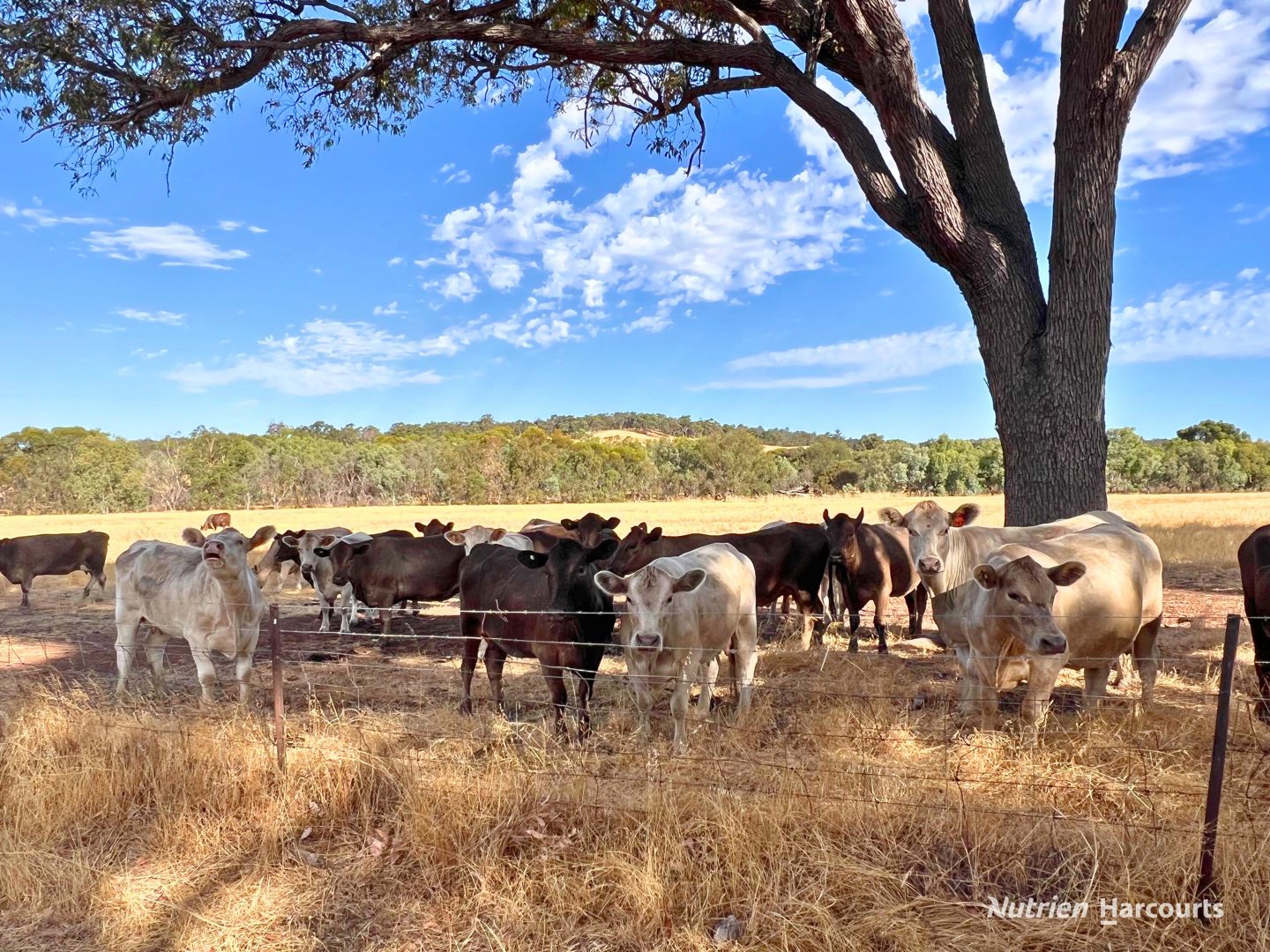 Address available by request