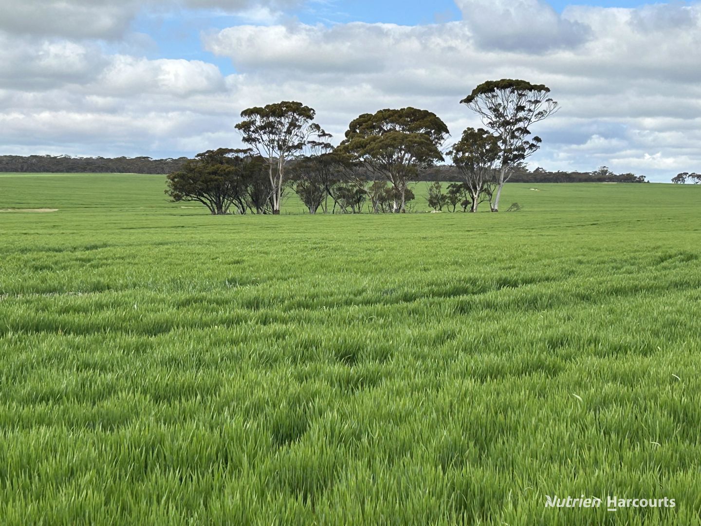 1255 Kukerin South Road ((Lot 14965) Kukerin WA 6352