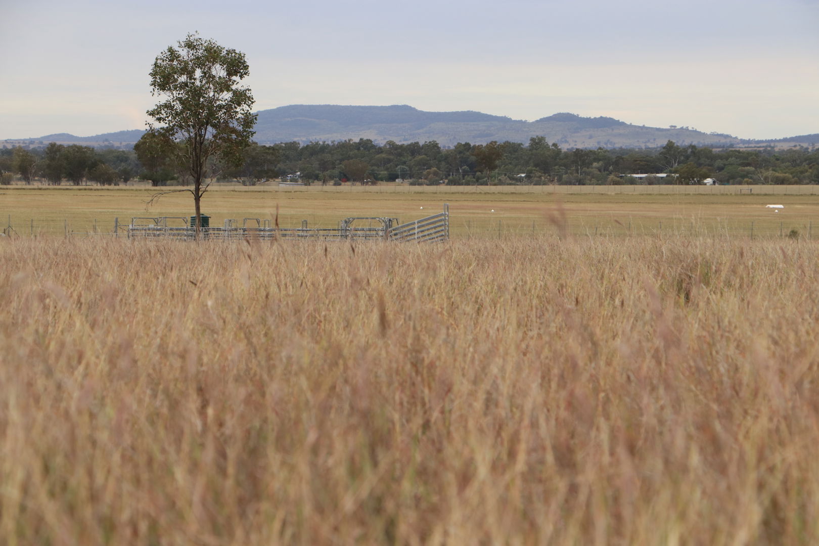 Roma QLD 4455