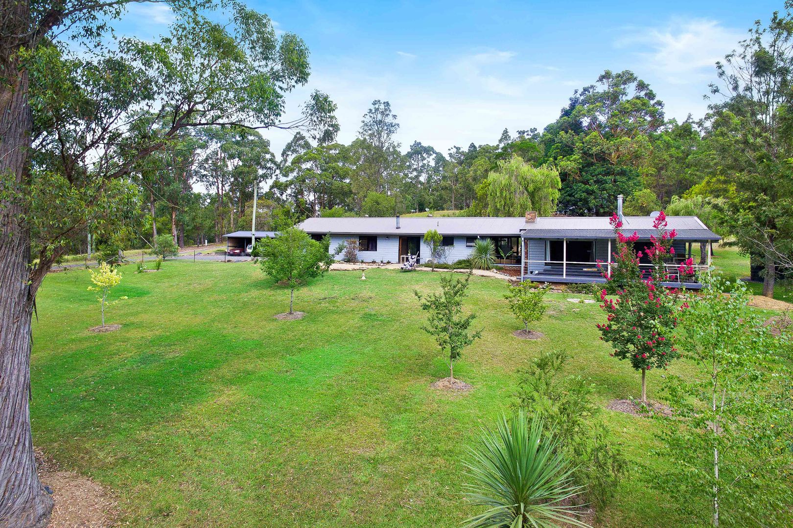 81 Dignams Creek Road Dignams Creek NSW 2546