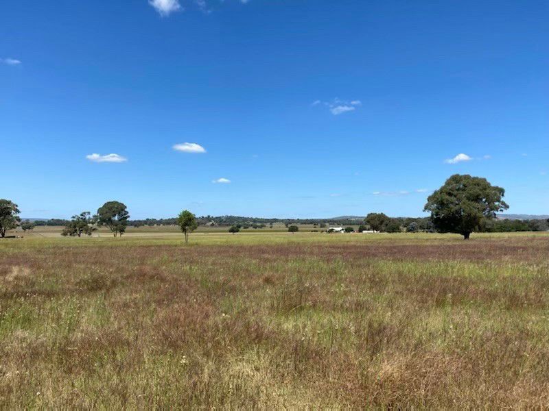220 Castlereagh Highway Mudgee NSW 2850