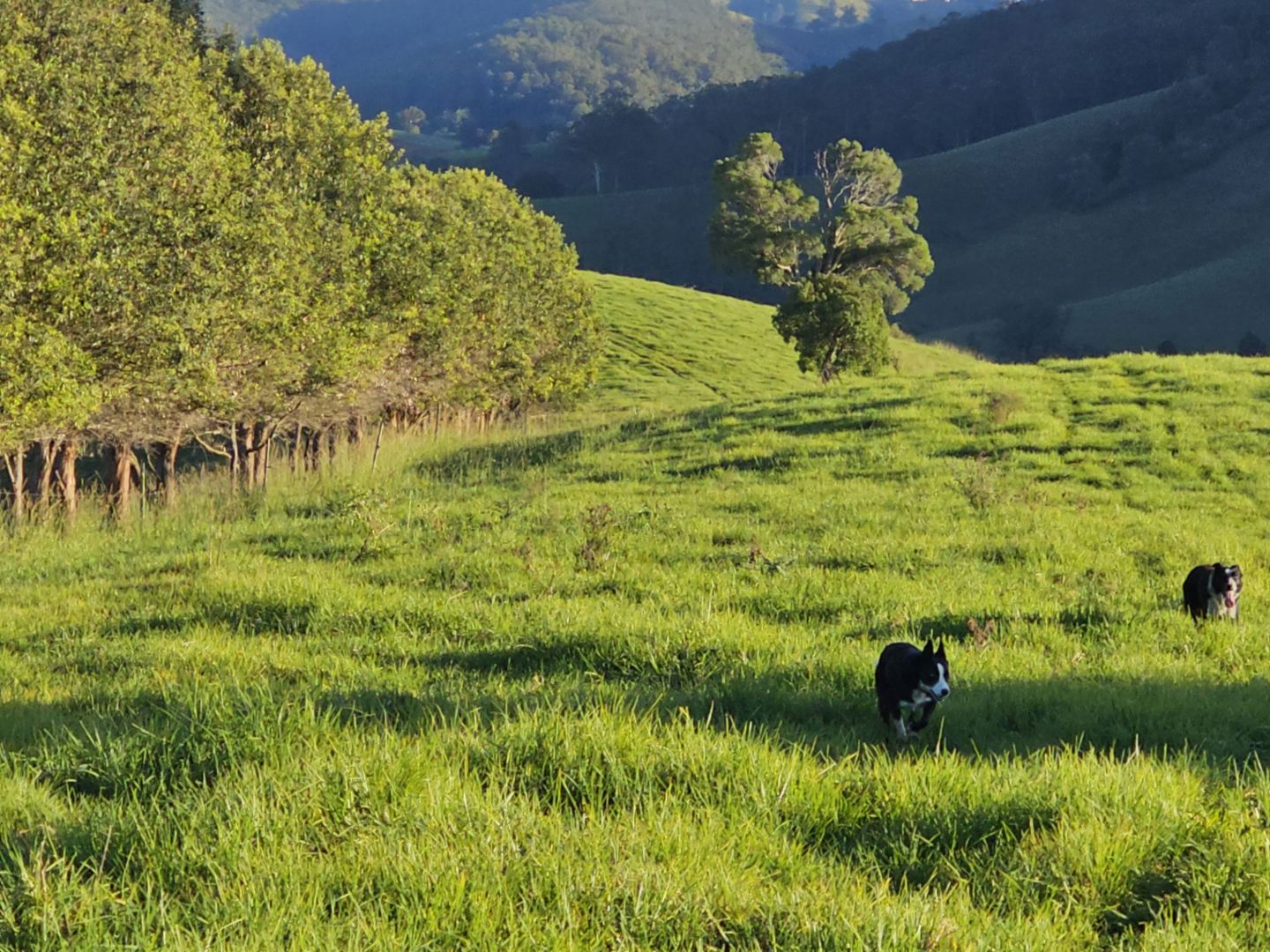 1989 Waukivory Road, Waukivory via Gloucester NSW 2422