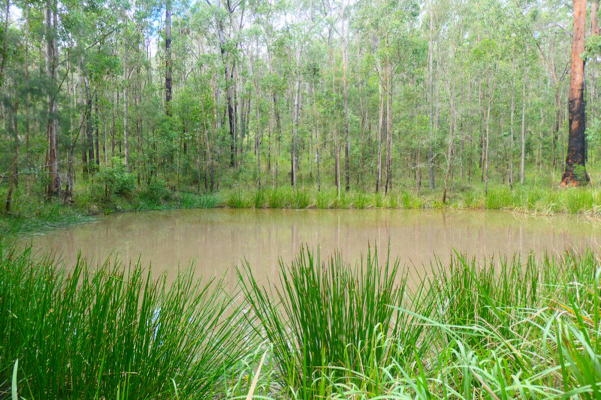 Lot 5 Long Gully Road Drake NSW 2469