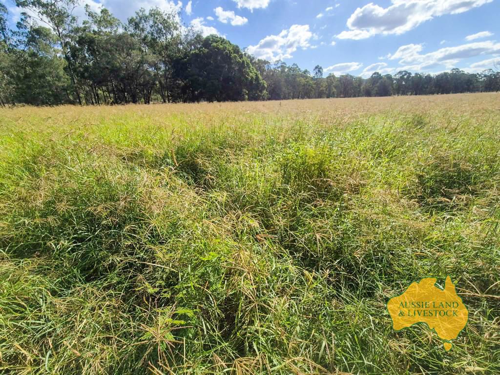 . Kalliwa Road Mingo QLD 4625