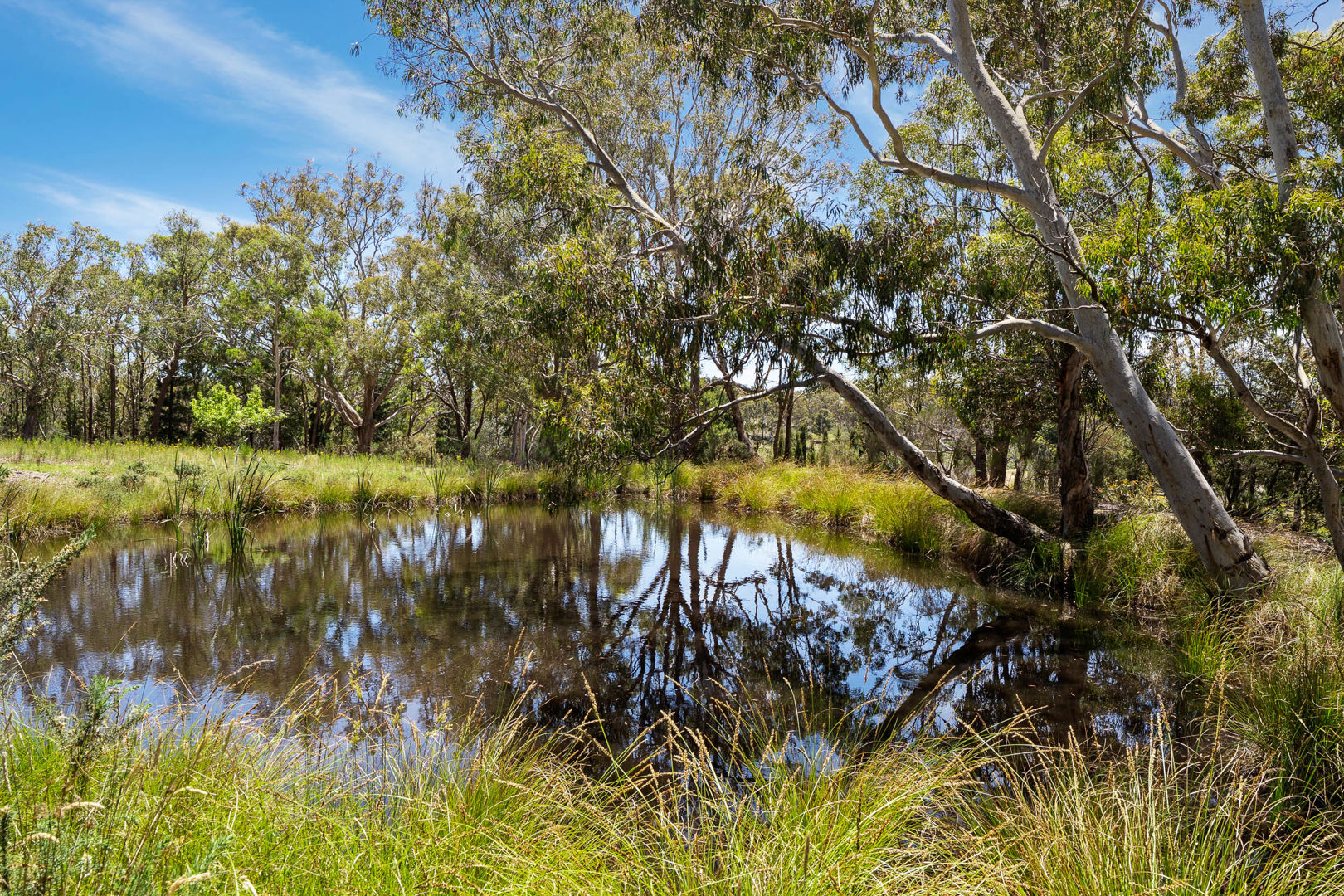 559 Mount Baw Baw Road, Baw Baw via Goulburn NSW 2580