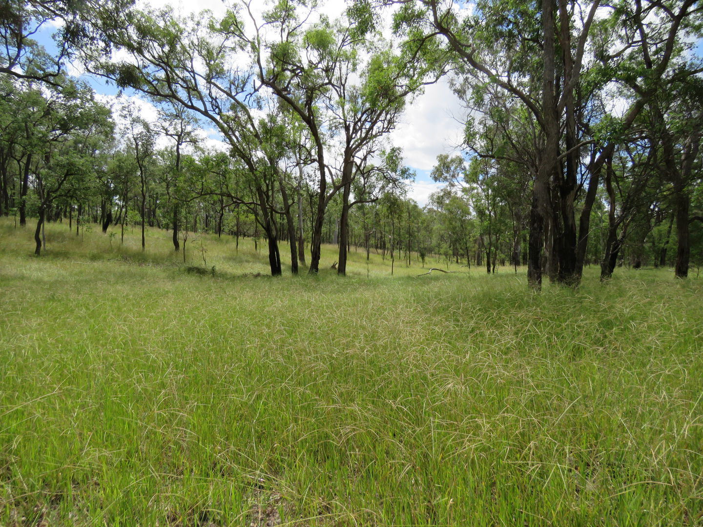 450 Lawsons Broad Road, Coverty Wondai QLD 4606