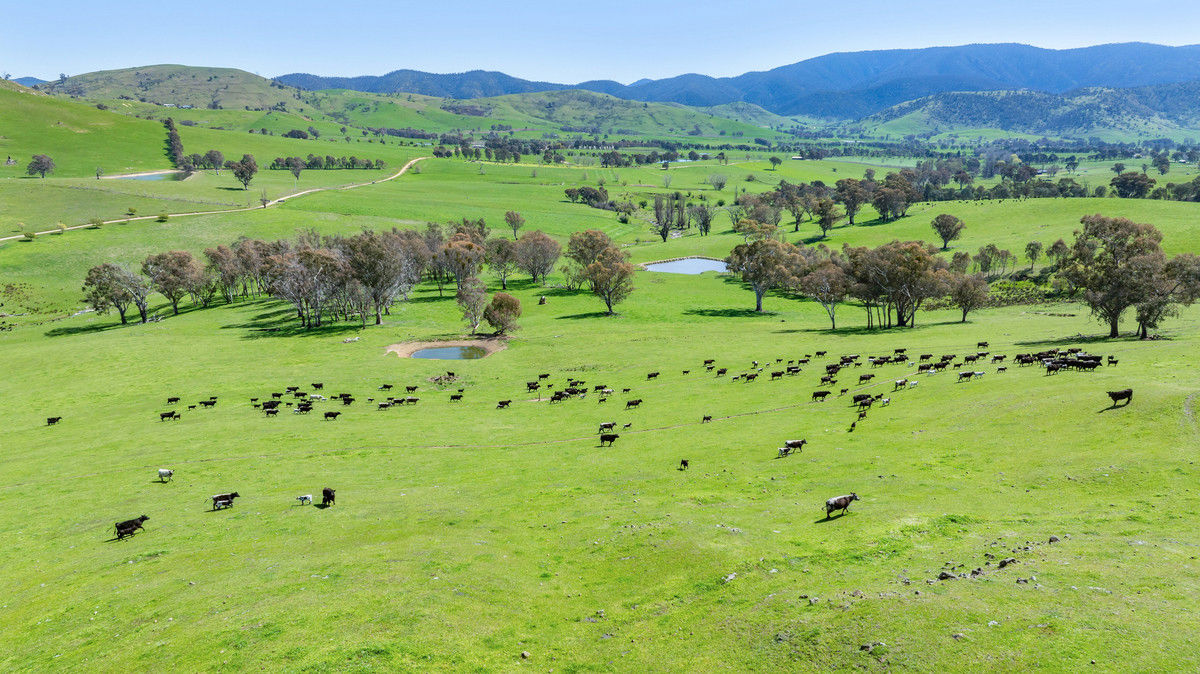 12 Evans Road Cudgewa VIC 3705