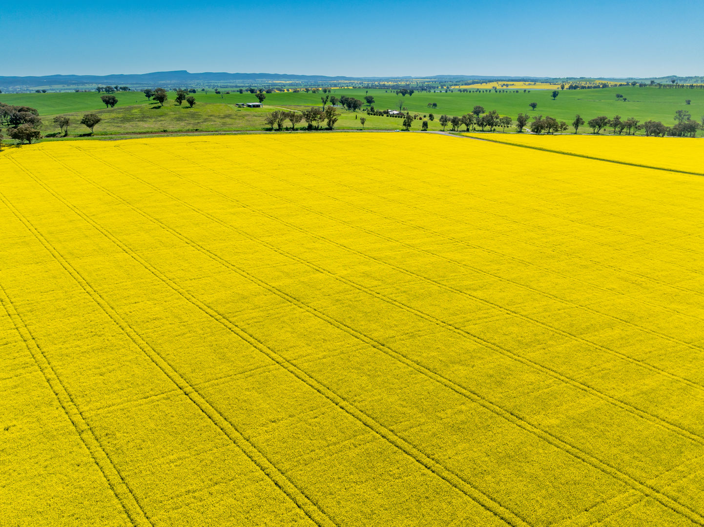 'Smiths' 5 Cargo Road Canowindra NSW 2804