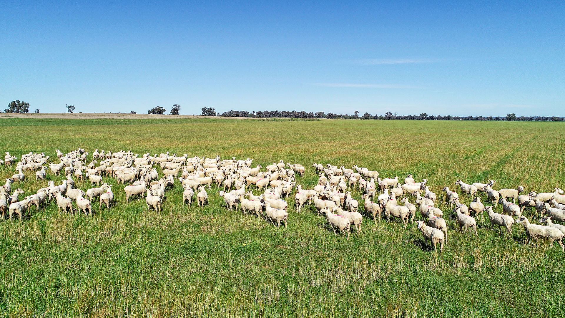 25L & 40R North Terramungamine Road Dubbo NSW 2830