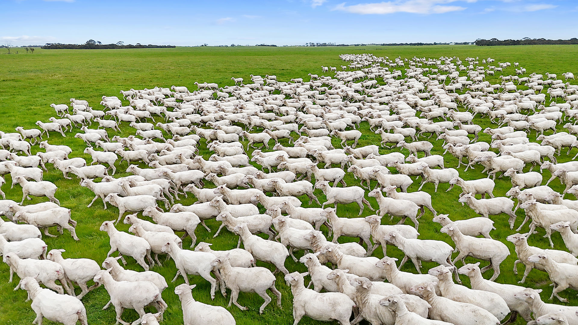 1412 Red Bluff Road Bordertown SA 5268