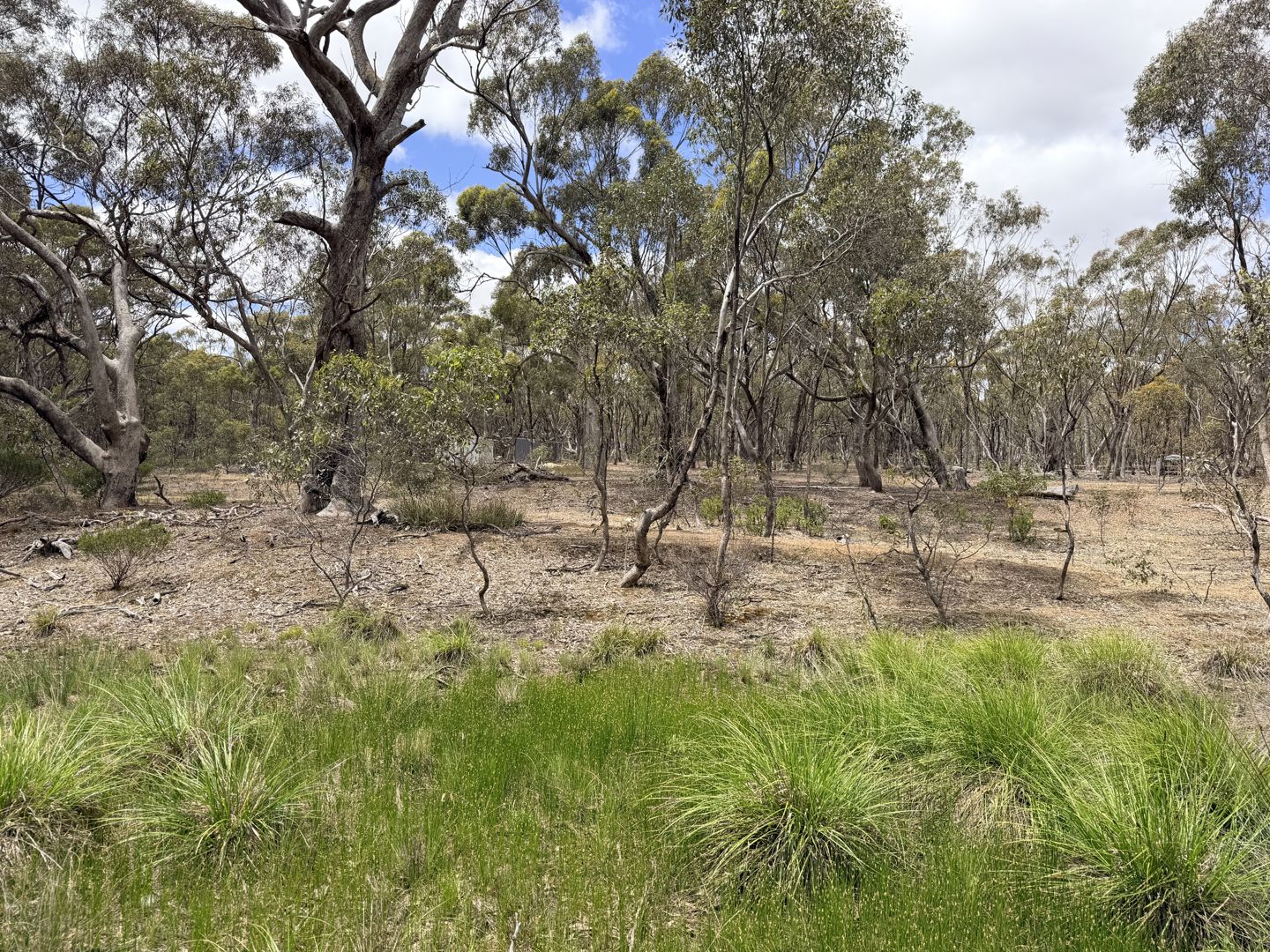 Allotment  Wimmera Highway St Arnaud VIC 3478
