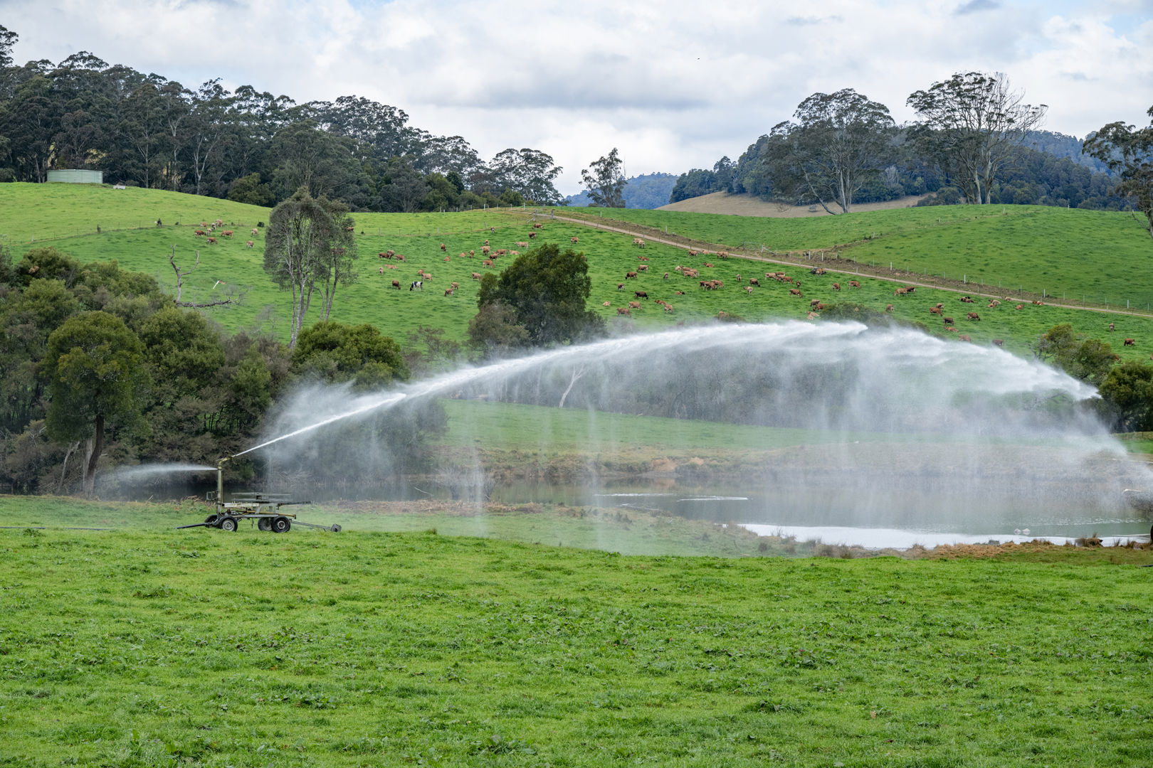 1431 Coramba Road Dorrigo NSW 2453