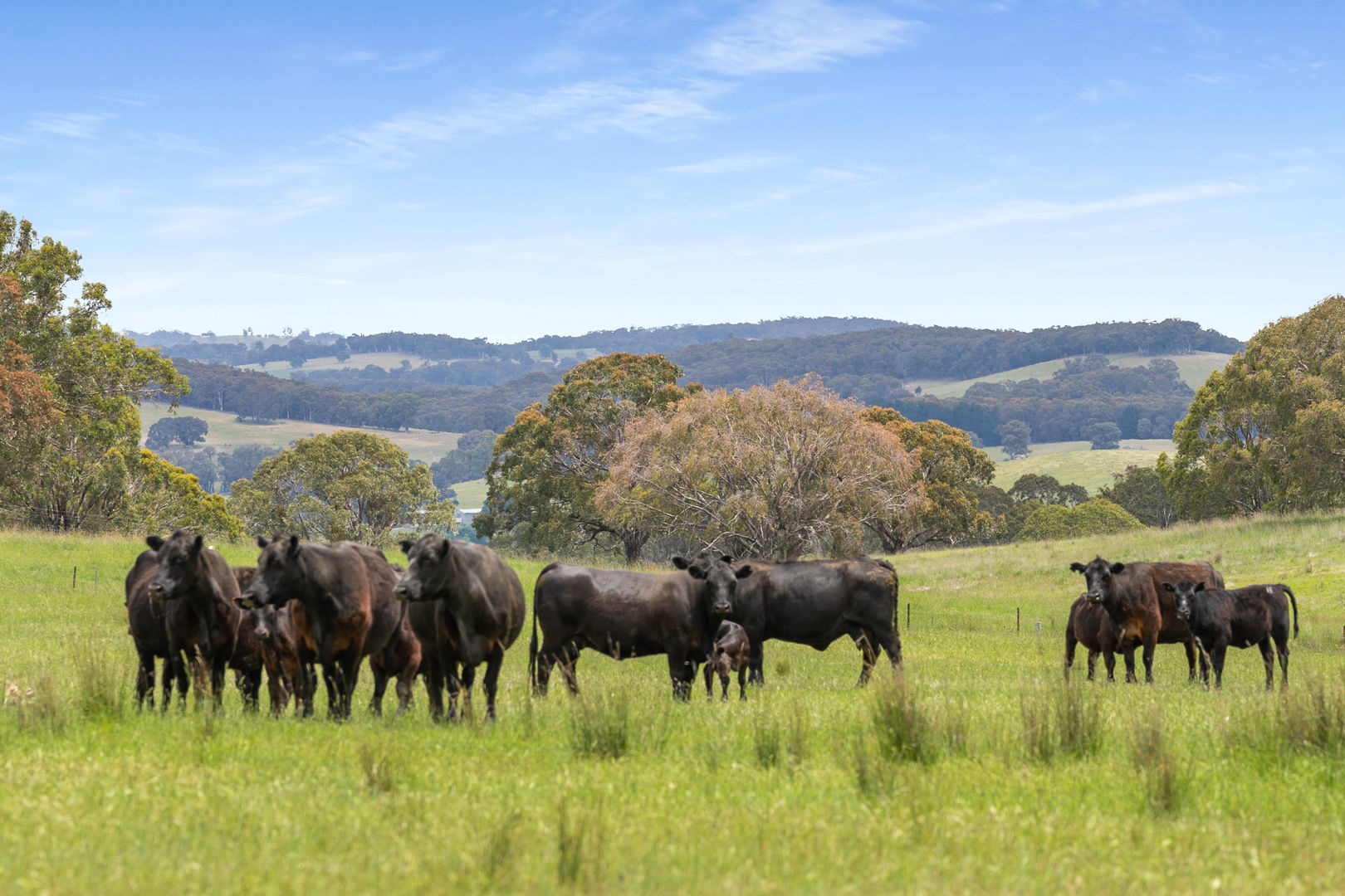47 Old Trunk Road Bathurst NSW 2795