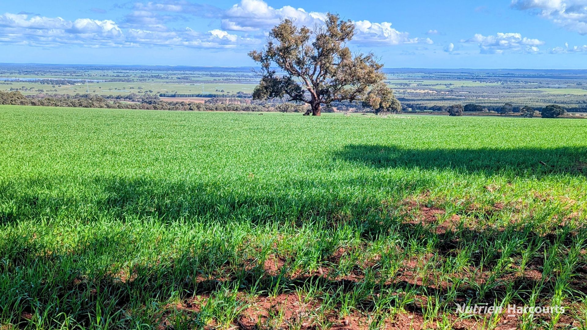 5428 Brand Highway, Boonanarring Gingin WA 6503