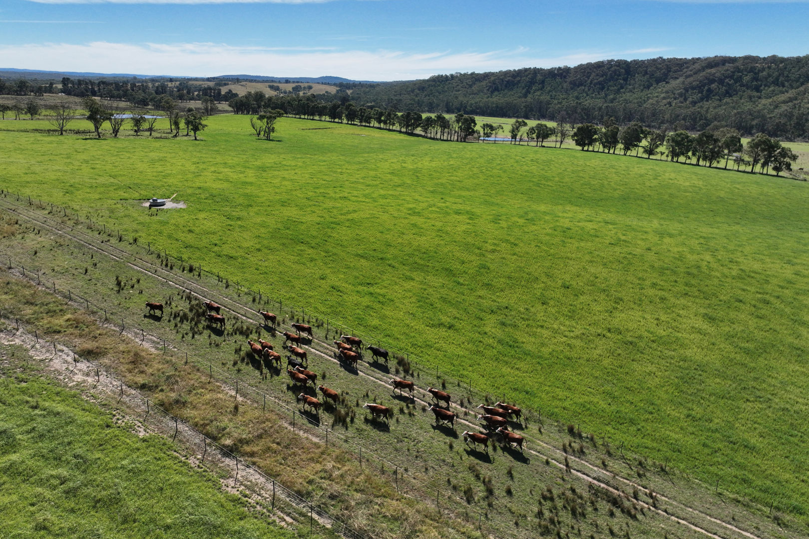 710 Inverary Road Paddys River NSW 2577