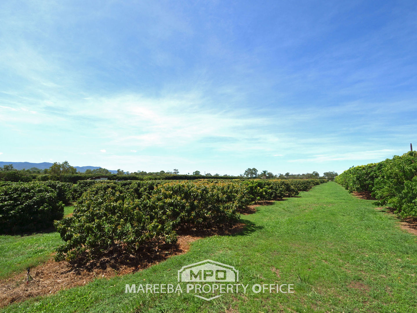 209 Malone Road Mareeba QLD 4880