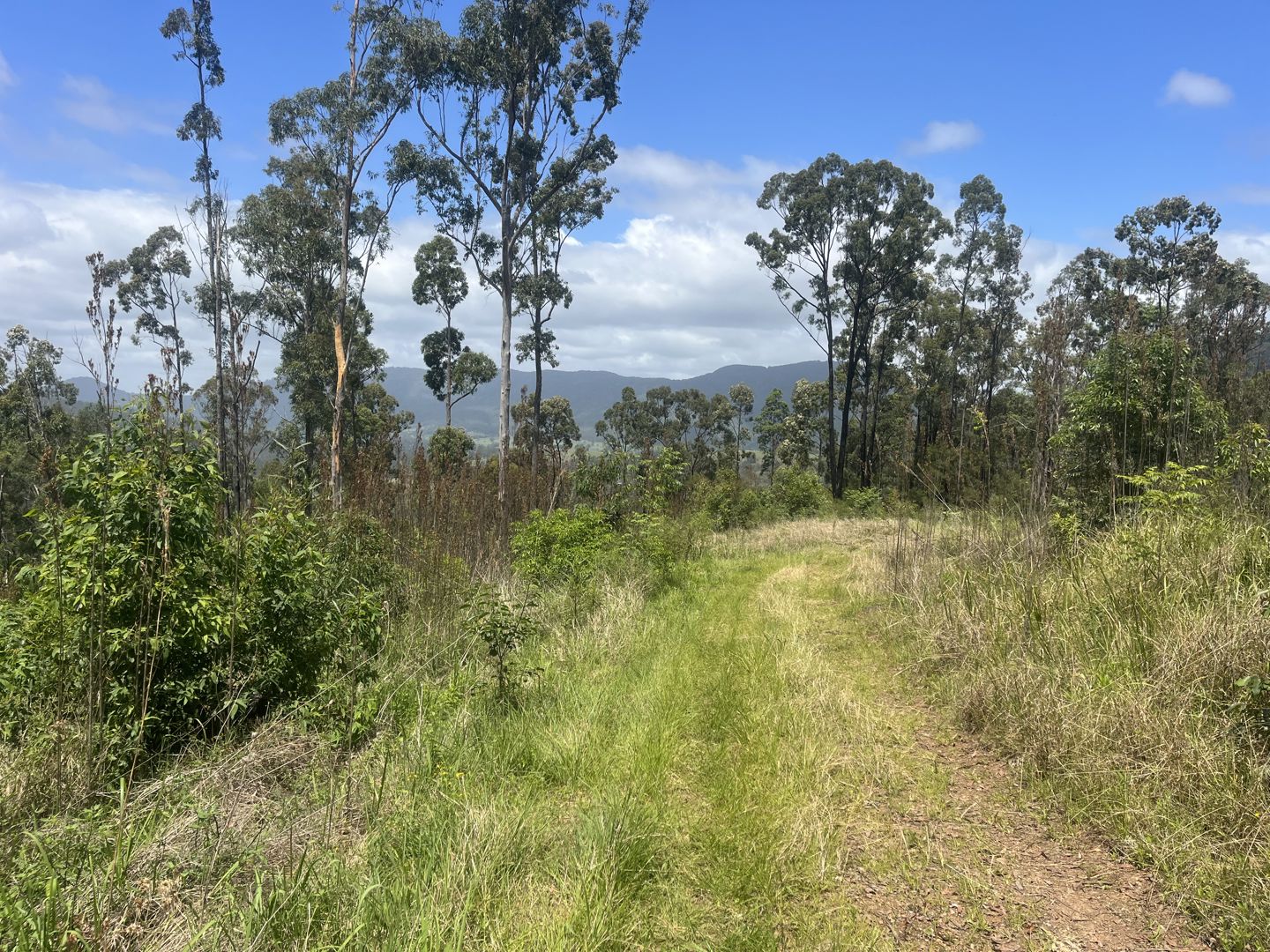 173 Knodingbul Forest Road Mount George NSW 2424