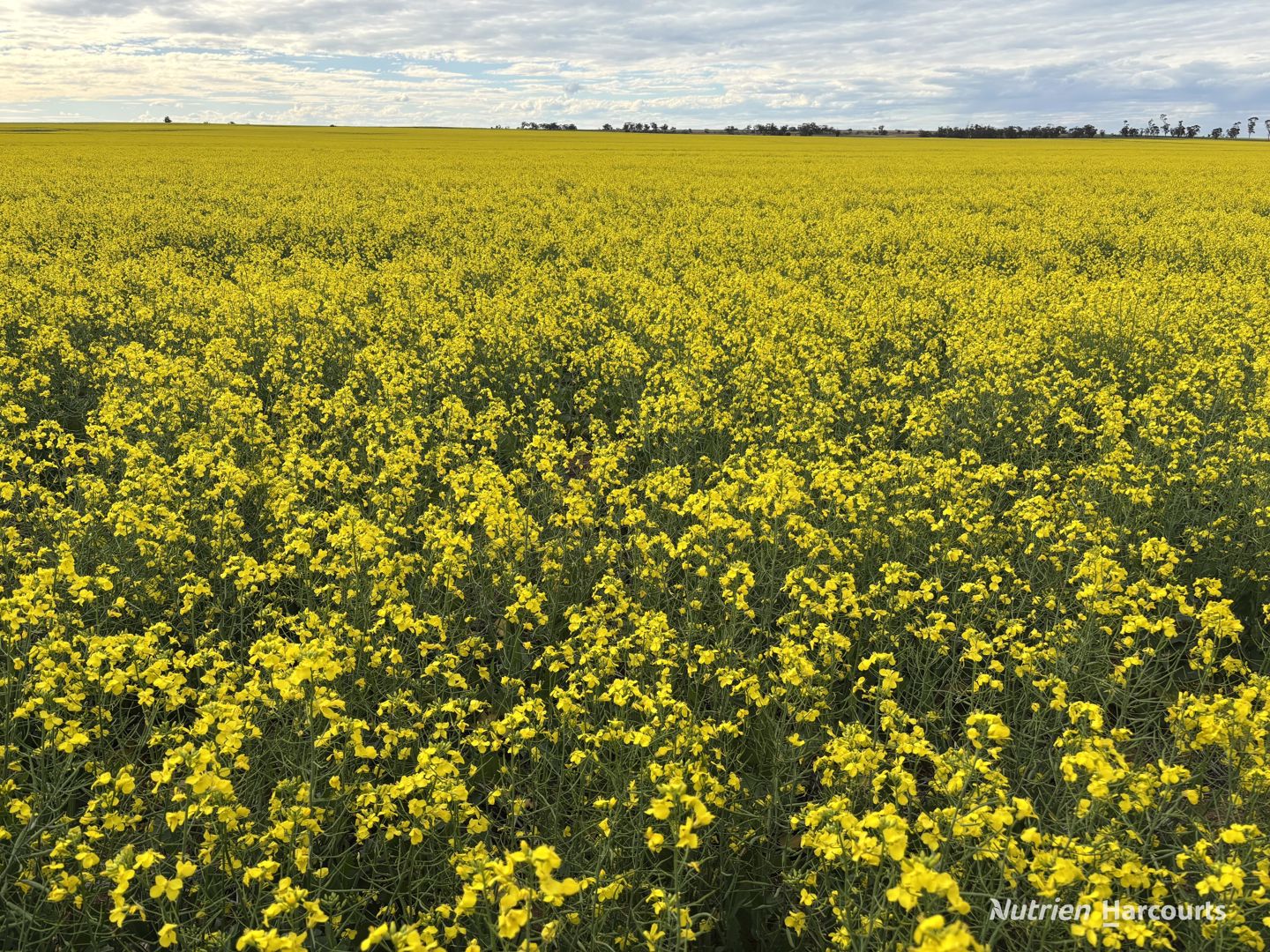 . 'Yetelling' Bencubbin WA 6477