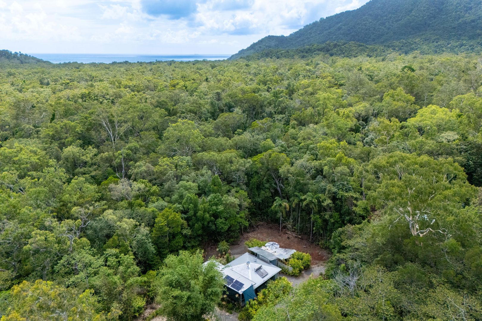 59-101 Quandong Road, Cow Bay Daintree QLD 4873