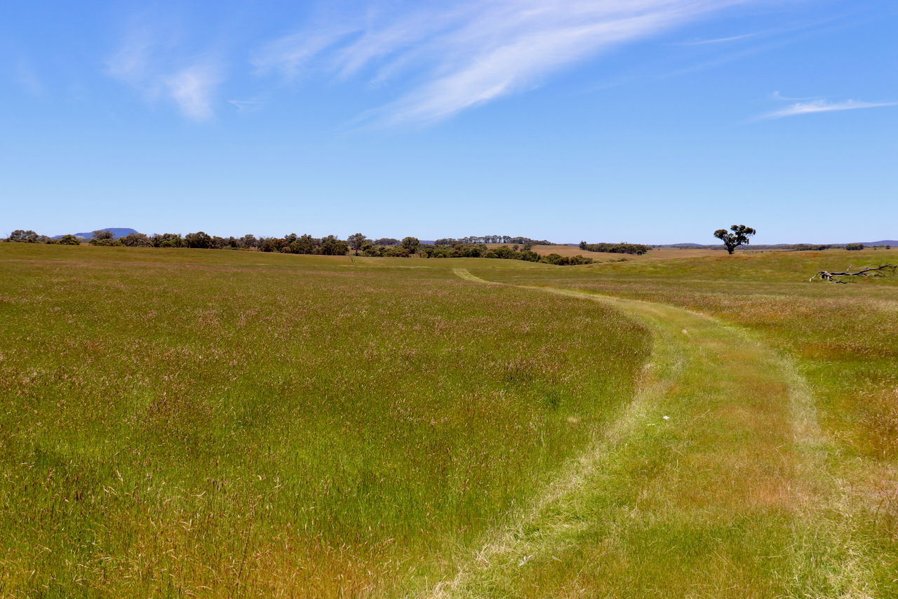 31C BRIDGE ROAD Grenville VIC 3352