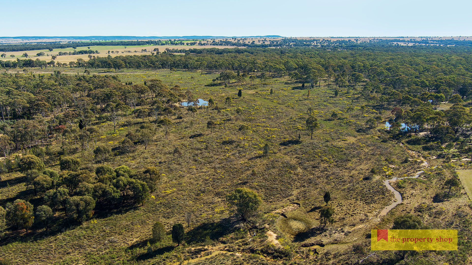 264 Carramar Road Gulgong NSW 2852