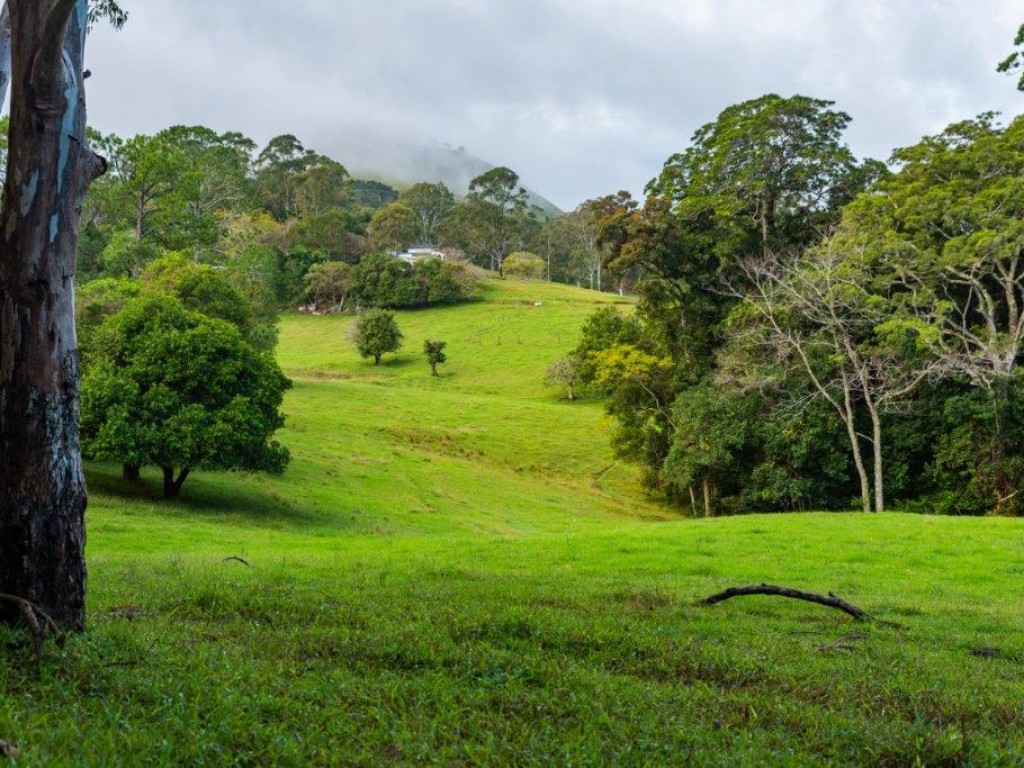 Address available by request