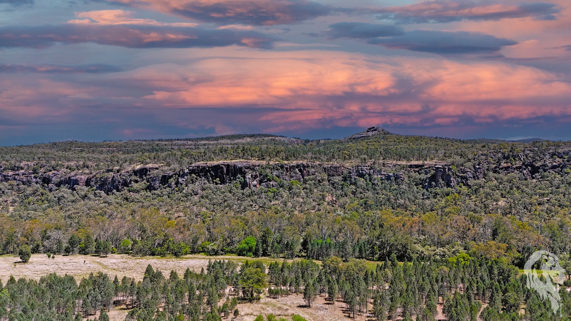 1038 Upper Maules Creek Road Maules Creek NSW 2382