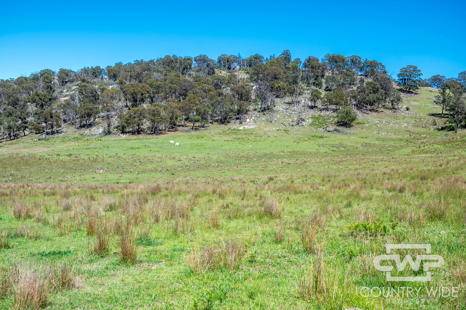 - Ten Mile Rd Deepwater NSW 2371