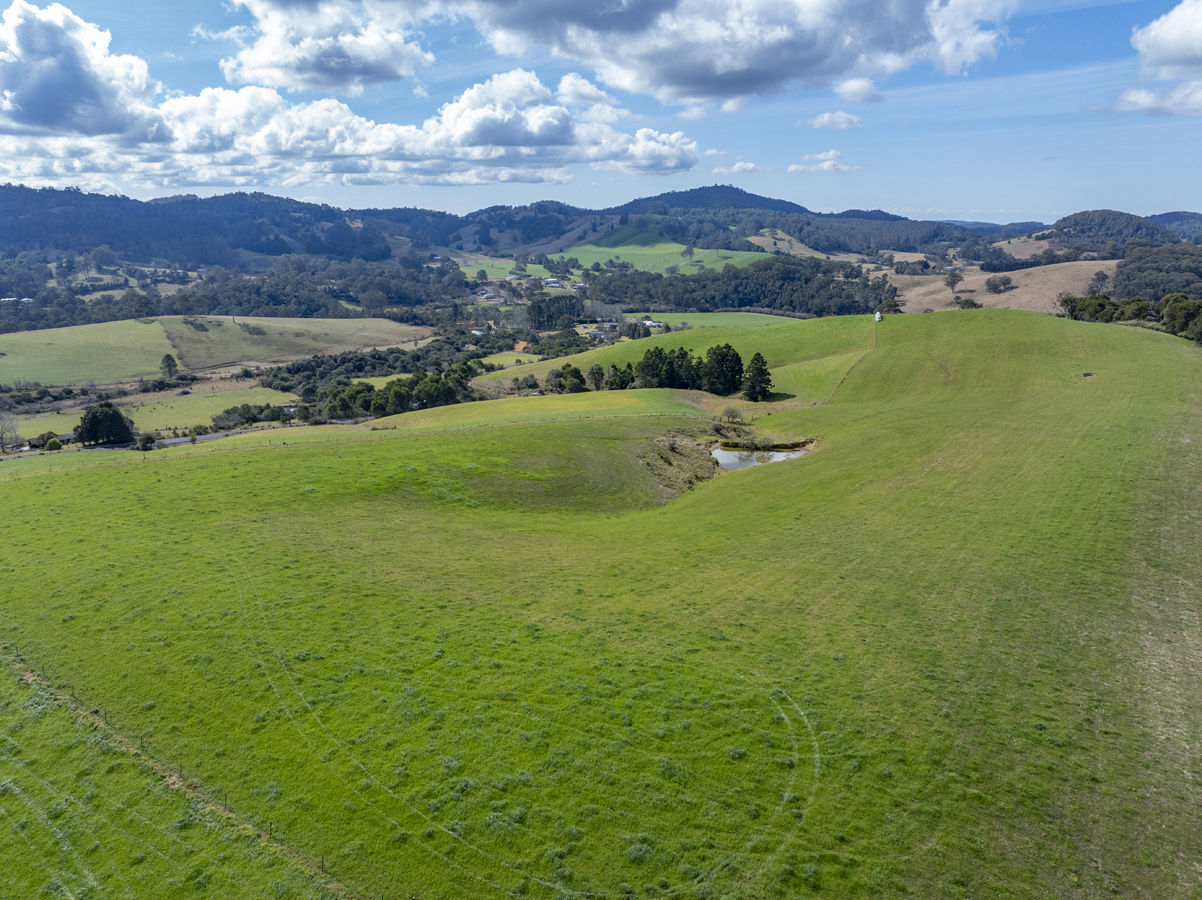 1378 Coramba Road Dorrigo NSW 2453