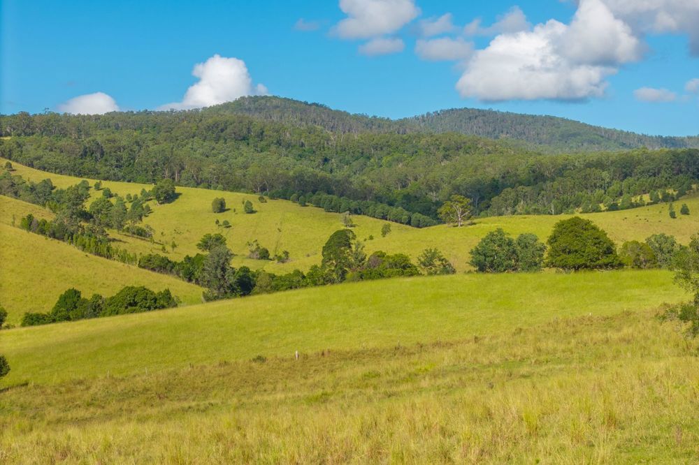 40 Ready Money Road Upper Rollands Plains NSW 2441