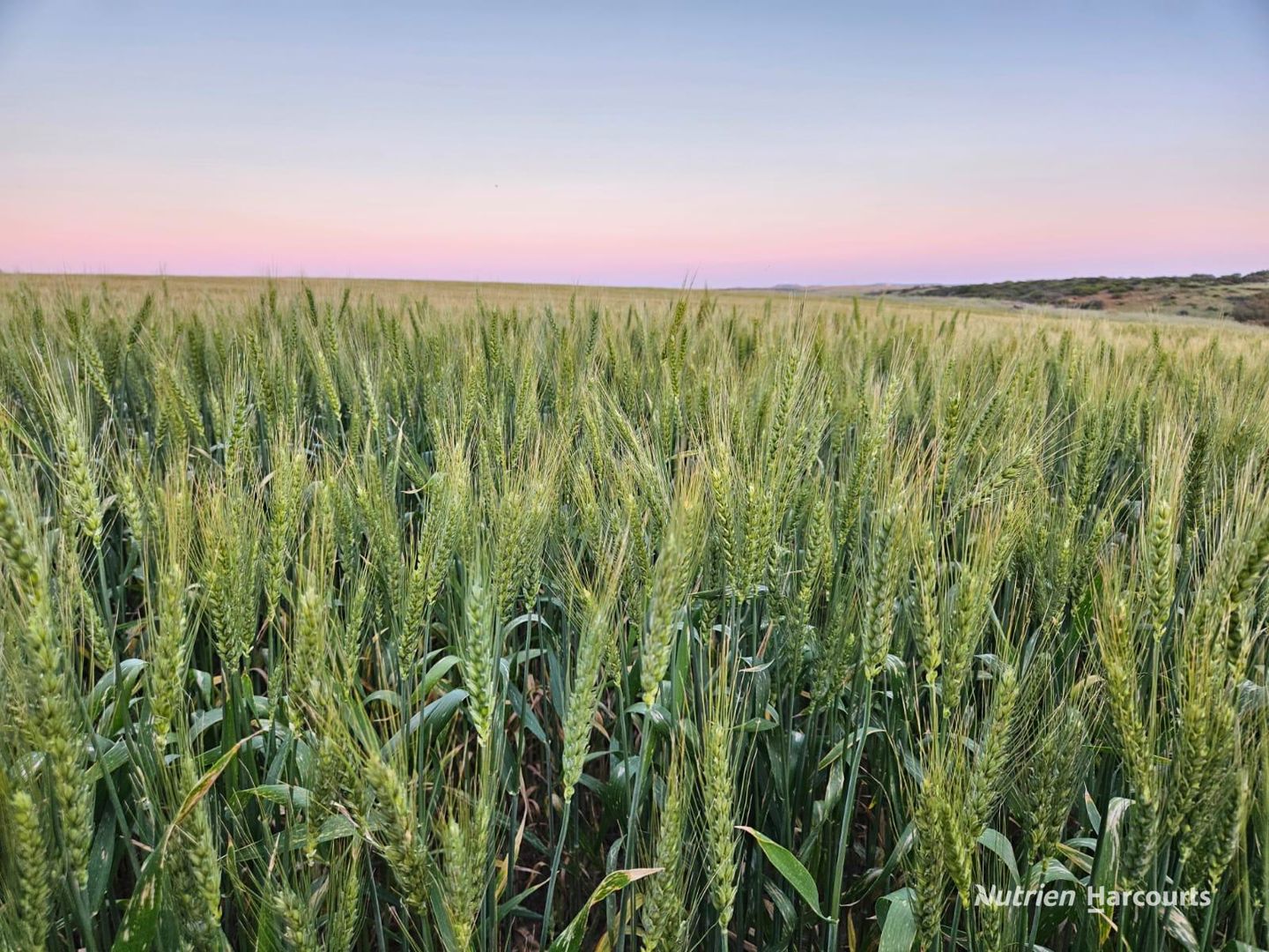 396 Larard Road Bowes WA 6535