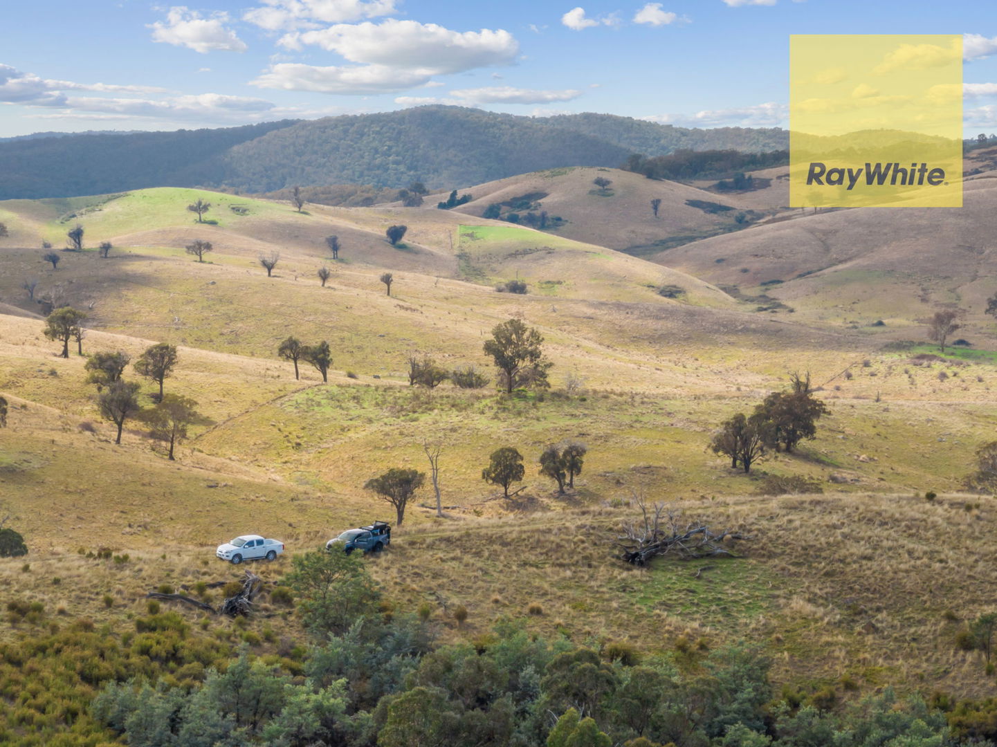 1013 Bigga Road Crooked Corner NSW 2583