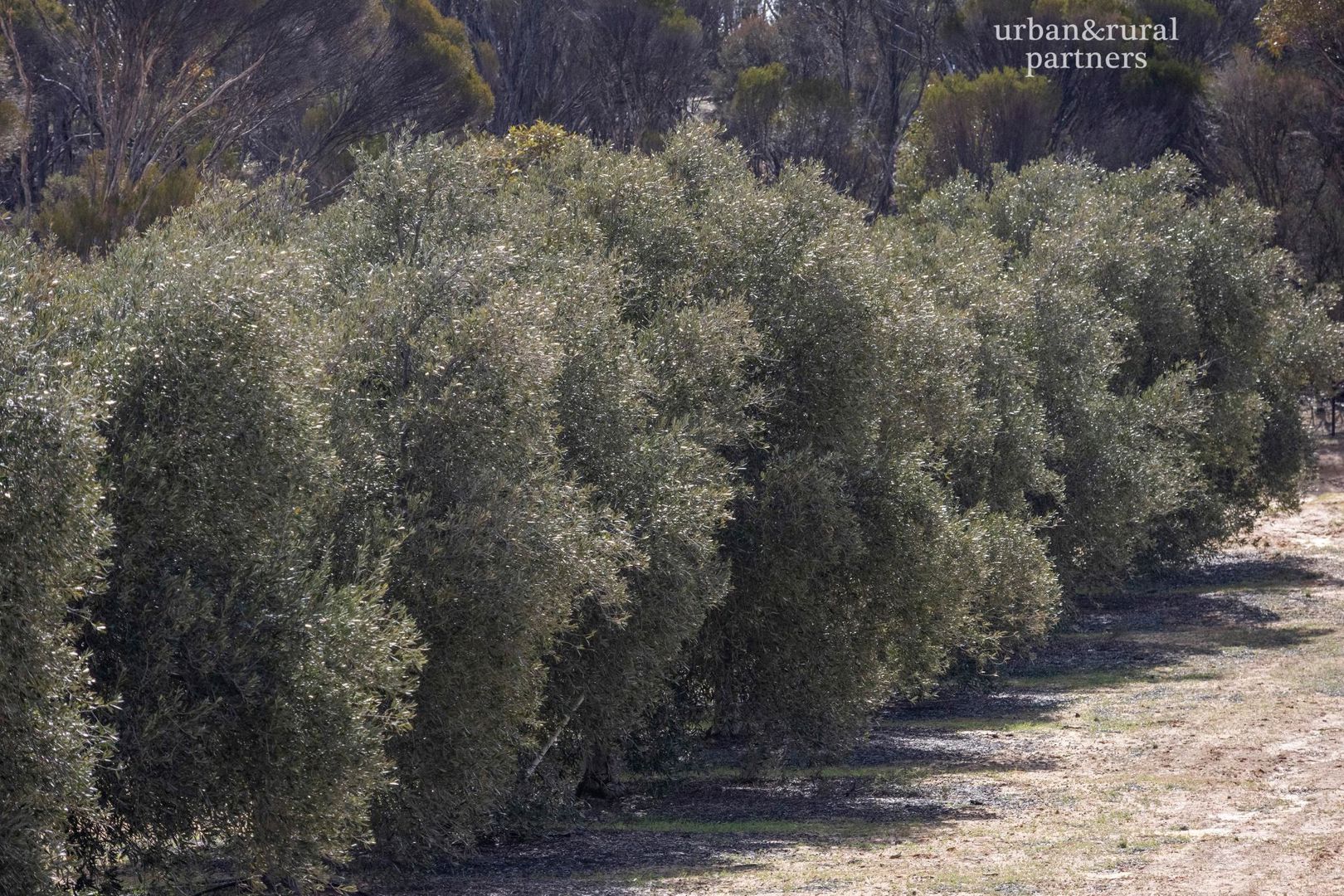 1575 Kringin Road Karte SA 5304