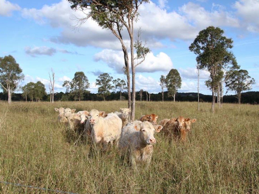 Address available by request