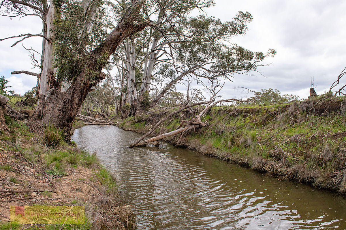  Lot 73 Campbells Creek Road Mudgee NSW 2850