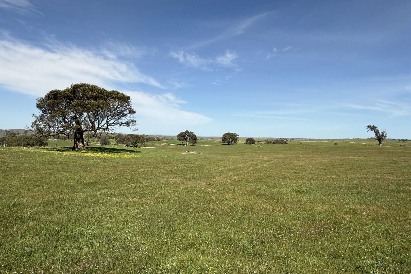 Lot 115 Mcgormans Road Tungkillo SA 5236