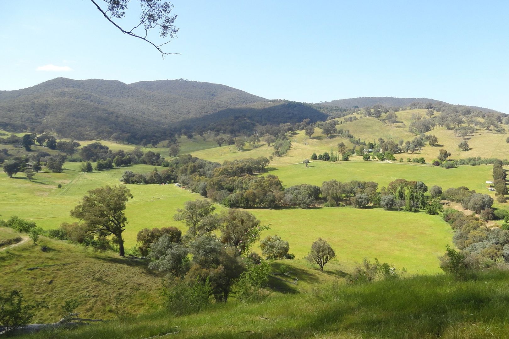 175 Tinmines Road Mullengandra NSW 2644