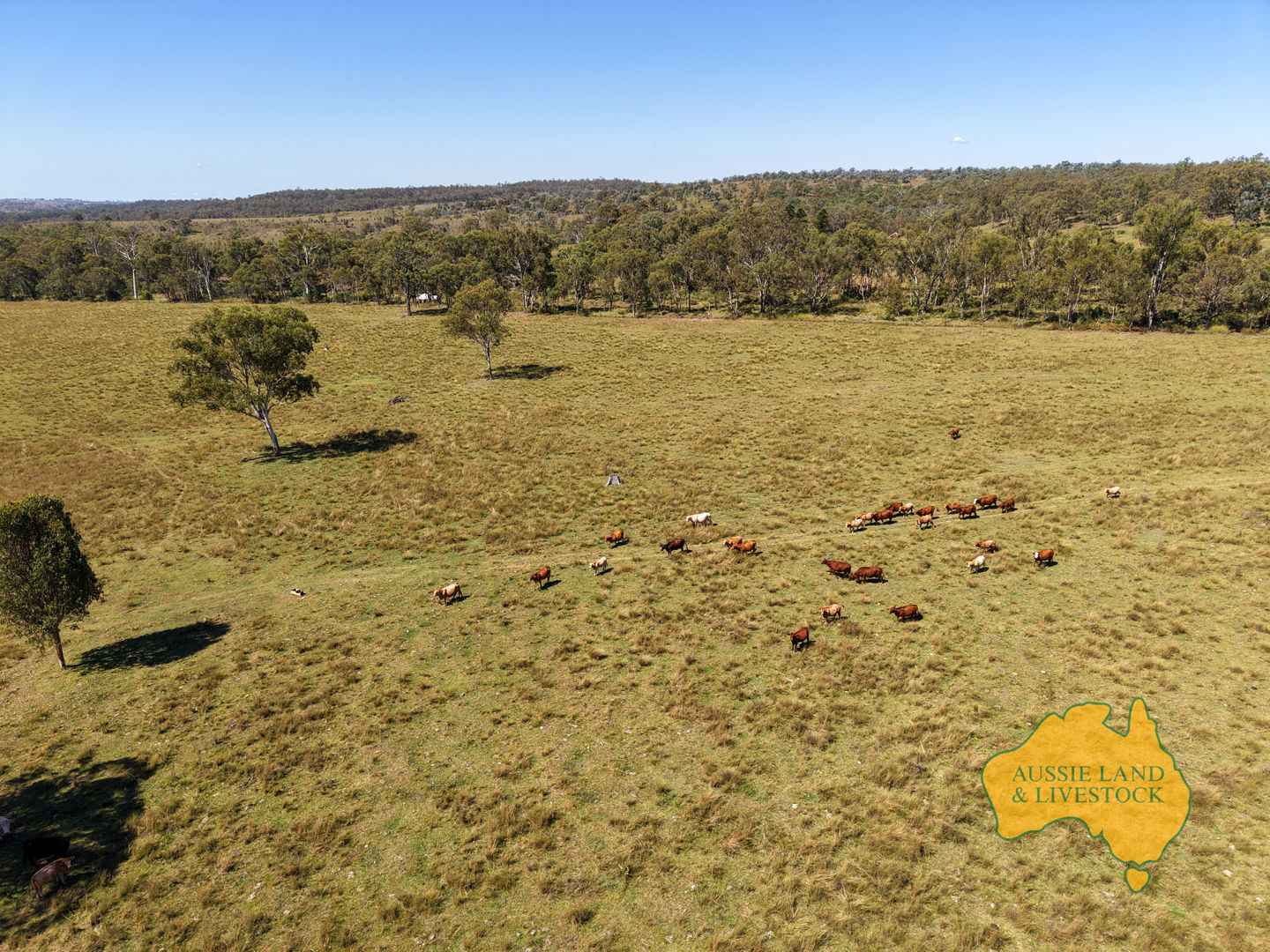 . TIM SHEA CREEK ROAD Wengenville QLD 4615