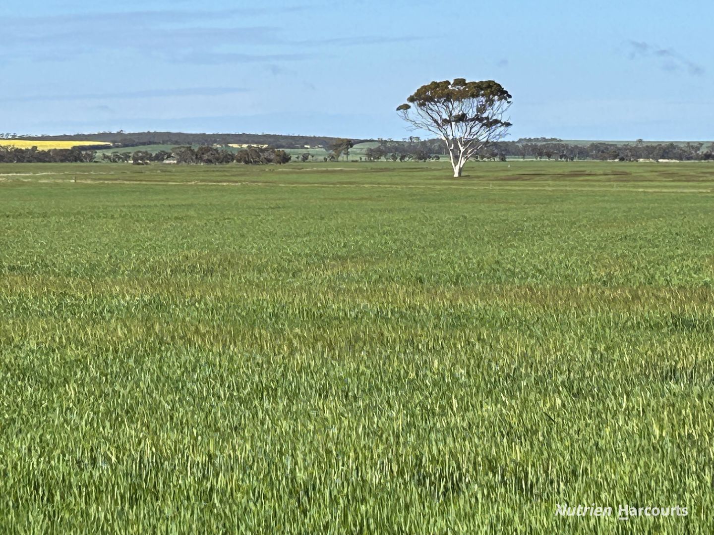 10075 Hopkins Road Kulin WA 6365