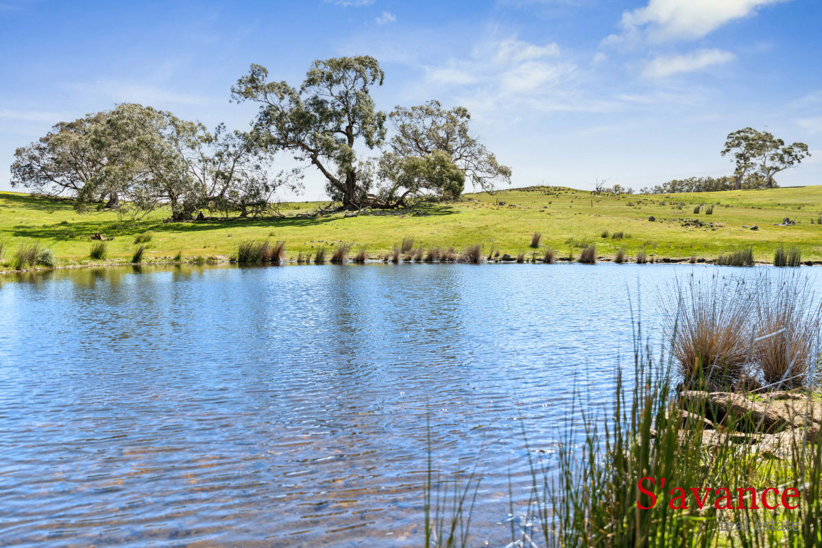  Schrapels Road Mount Pleasant SA 5235