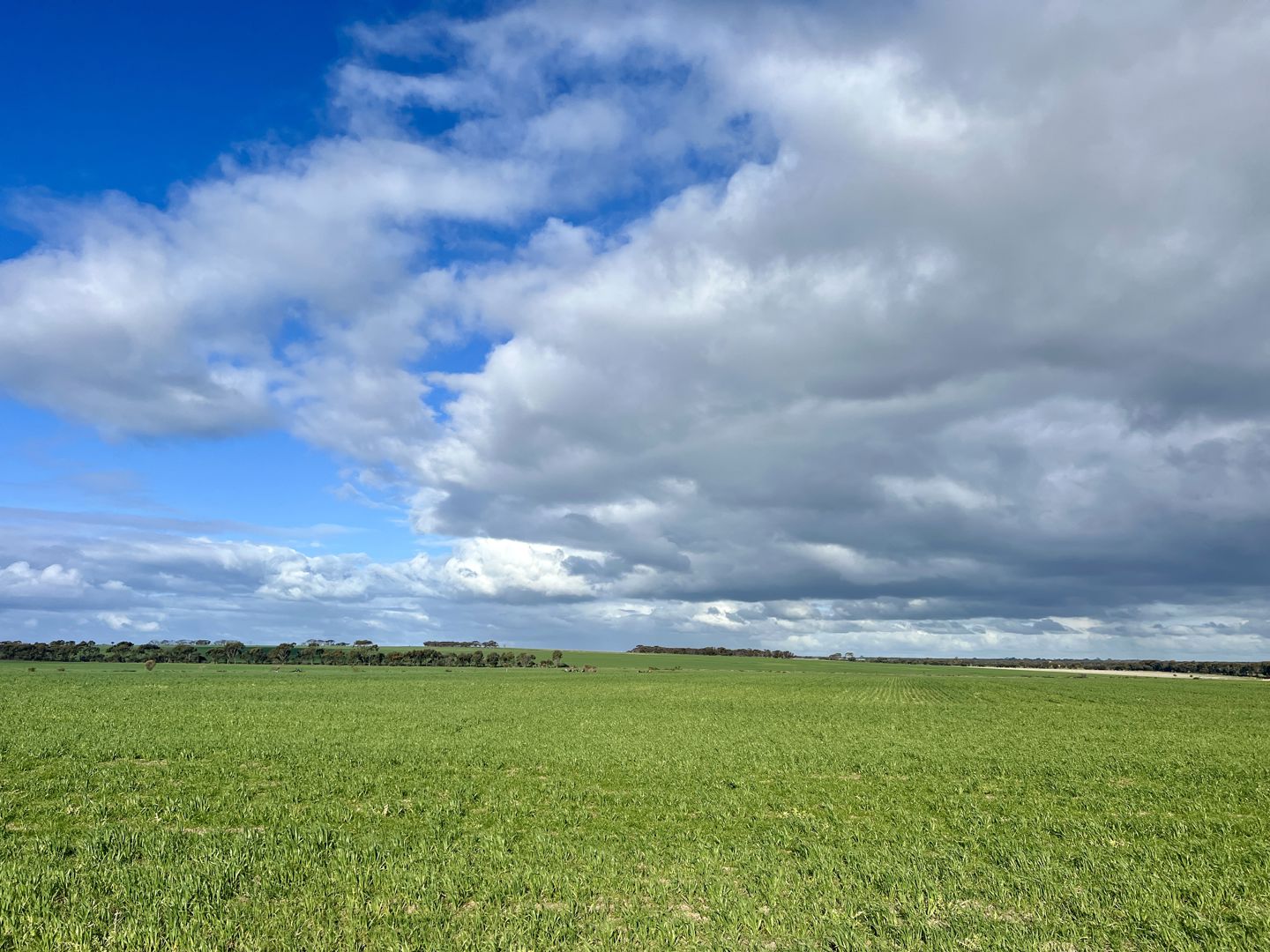 409 Dixon Road Pingrup WA 6343