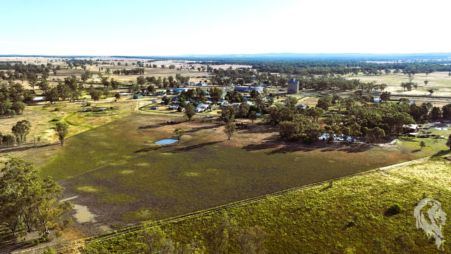 10 Garwi Street Baan Baa NSW 2390