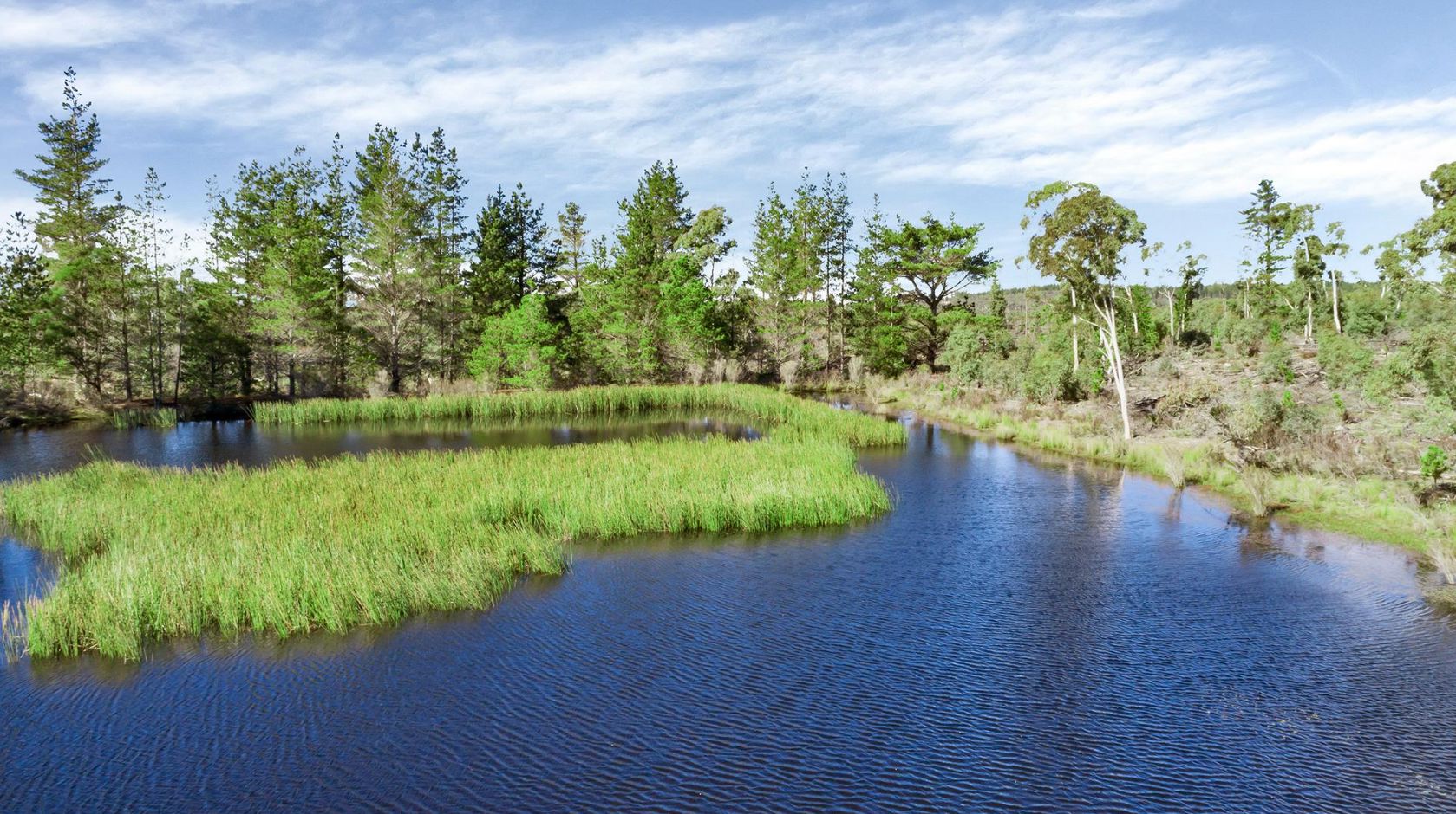 464 Tally Ho Braidwood NSW 2622