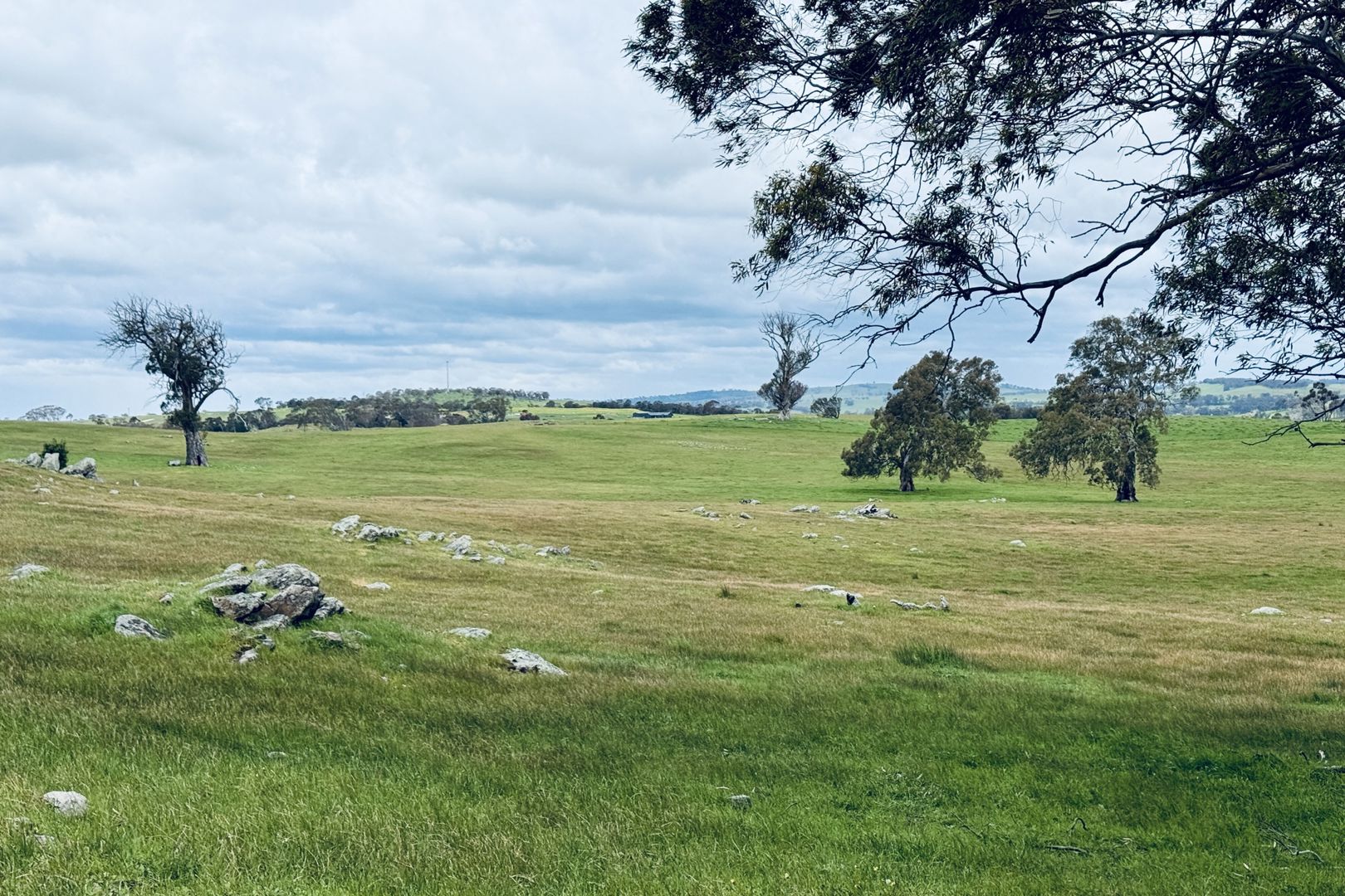 Lot 115 Mcgormans Road Tungkillo SA 5236