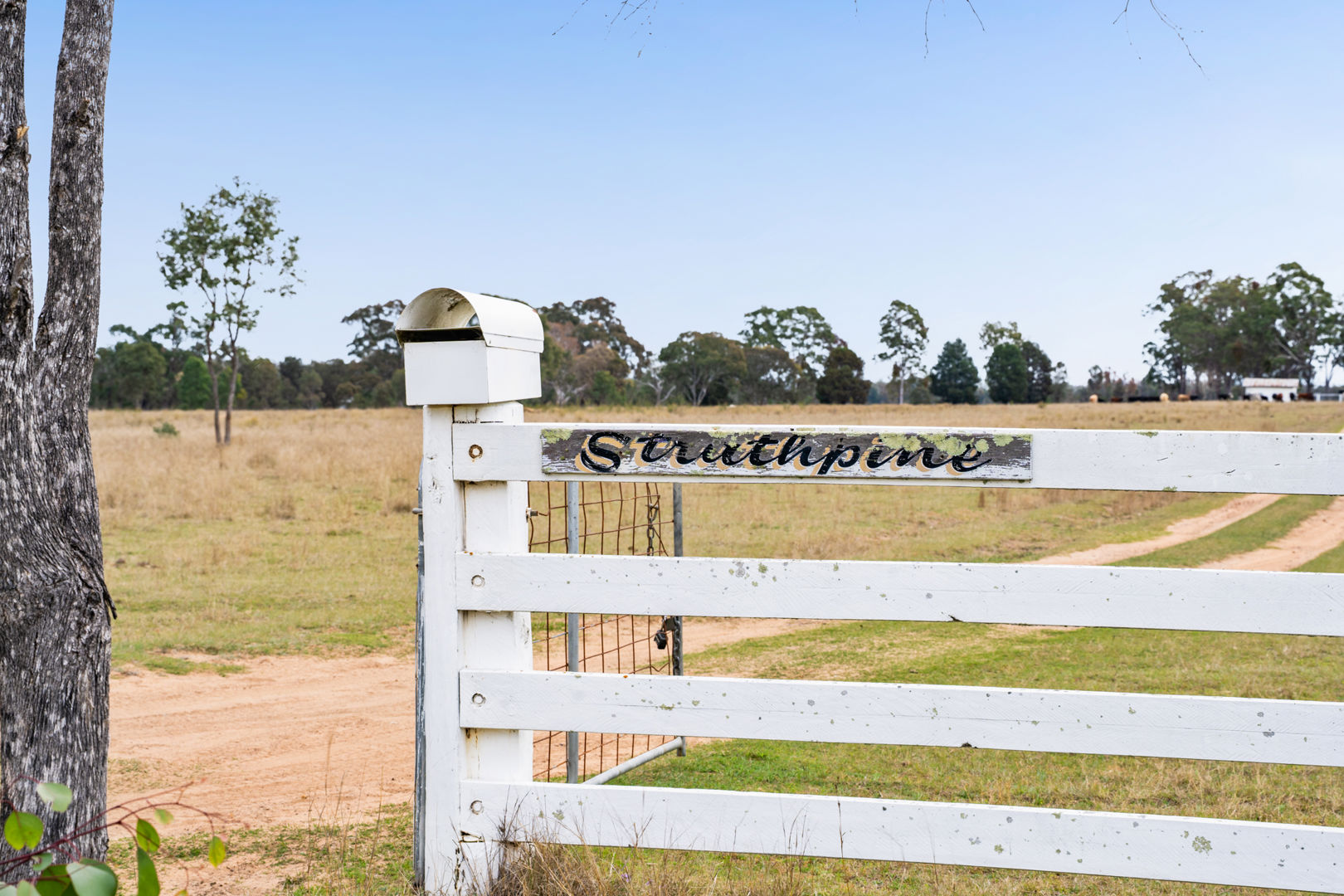 'Strathpin Burnett Road Tummaville QLD 4352