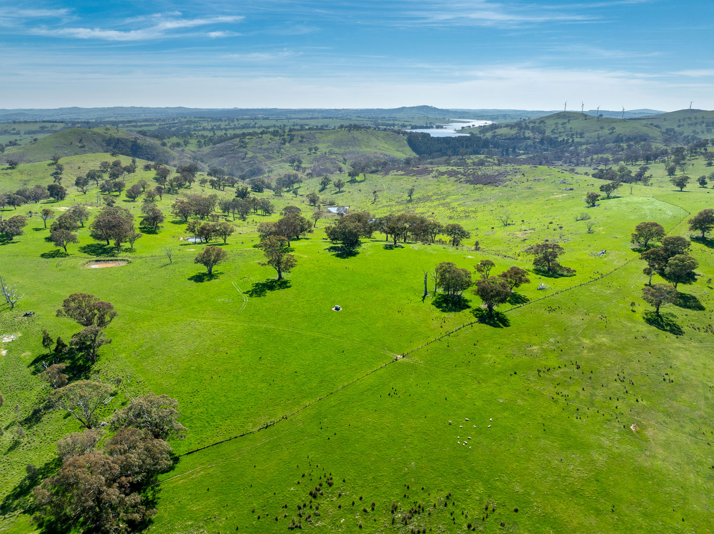 321 Mount Macquarie Road Carcoar NSW 2791