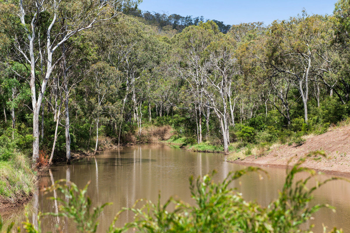 262 Hendrie Road Upper Pilton QLD 4361