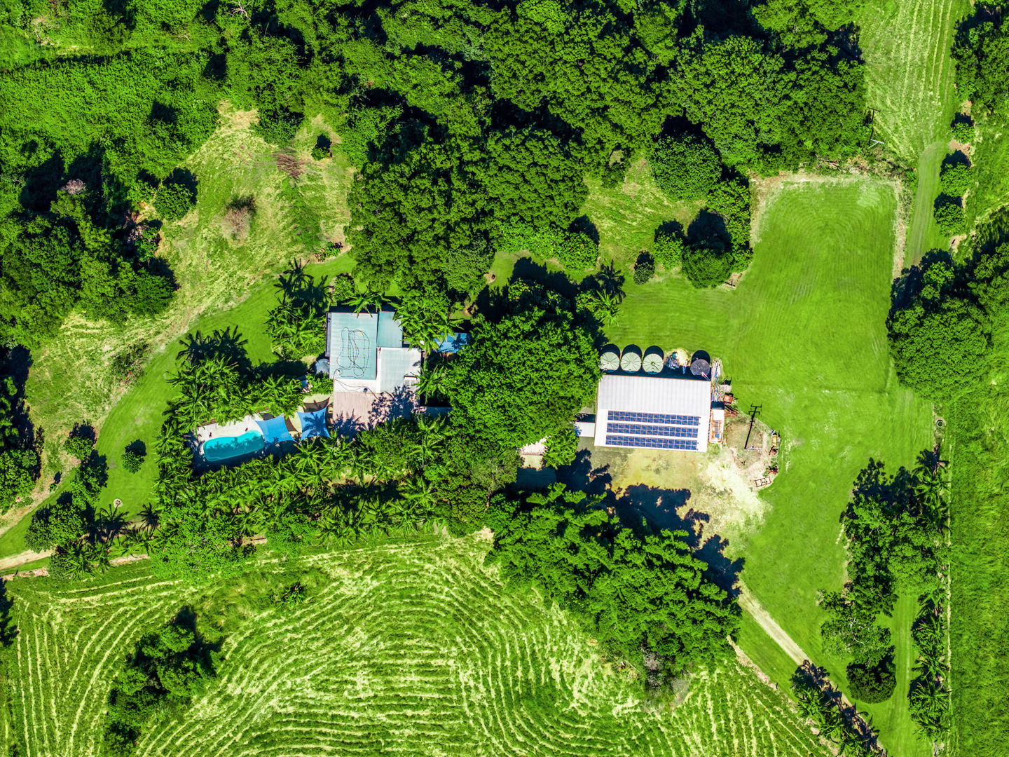 61 Tallowood Road Lillian Rock NSW 2480