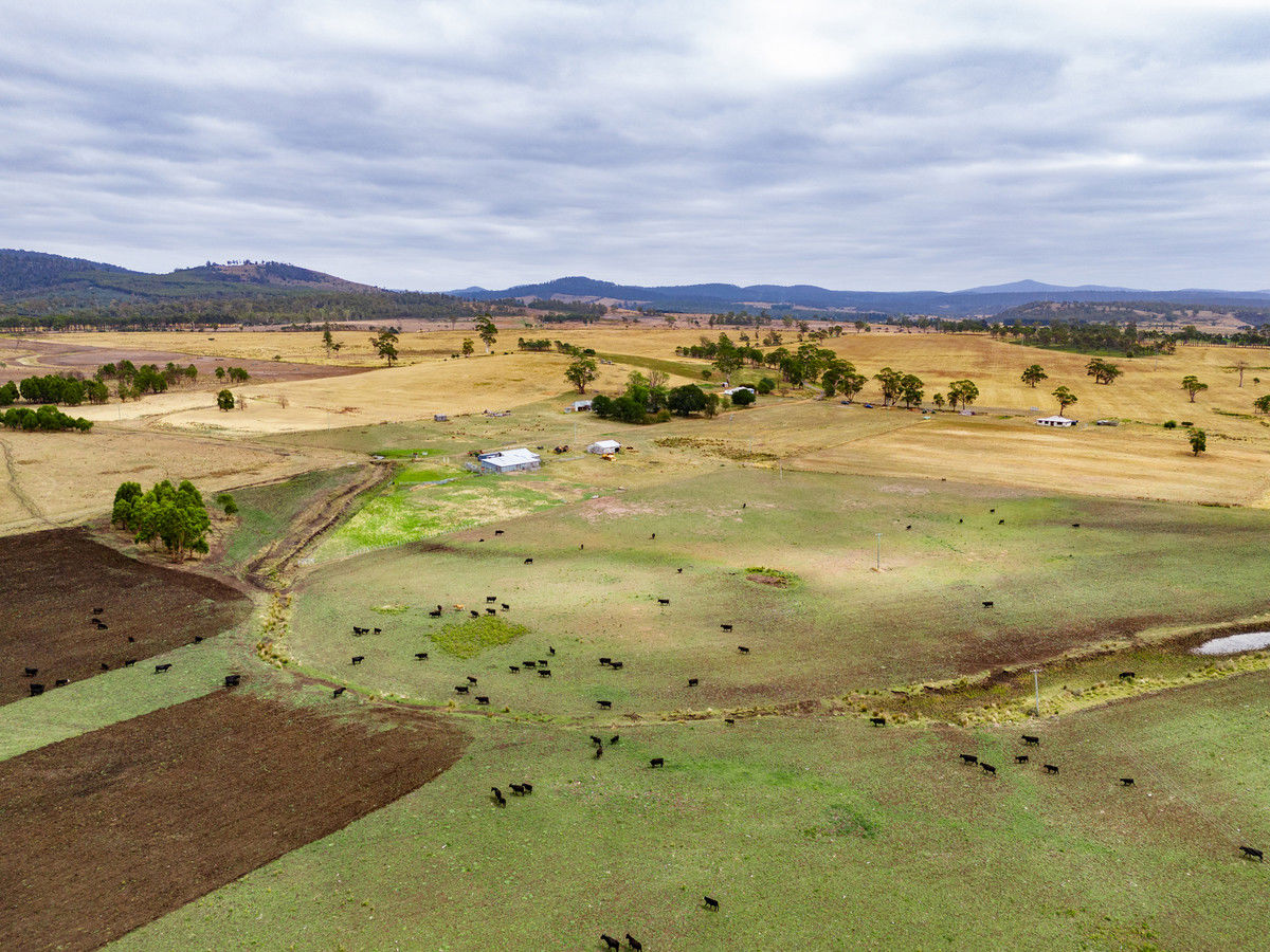 196 Court Farm Road Buckland TAS 7190